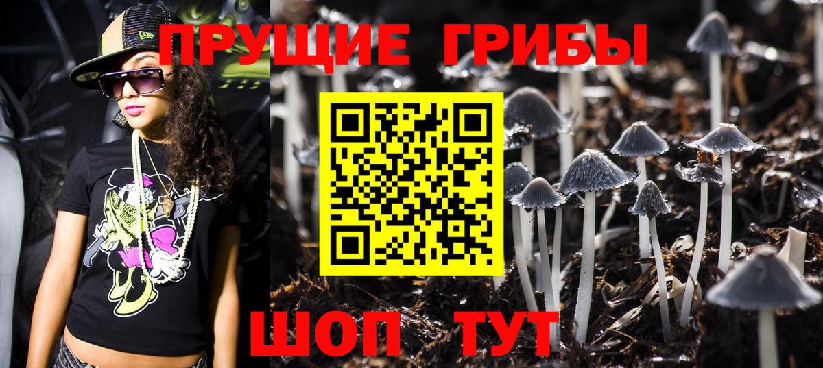 Псилоцибиновые грибы GOLDEN TEACHER  Вход с VPN  Ступино  Галлюциногенные грибы MAGIC MUSHROOMS 